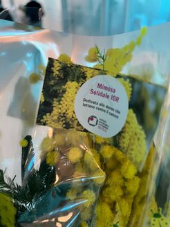 Dorelan e IOR insieme con la Mimosa Solidale