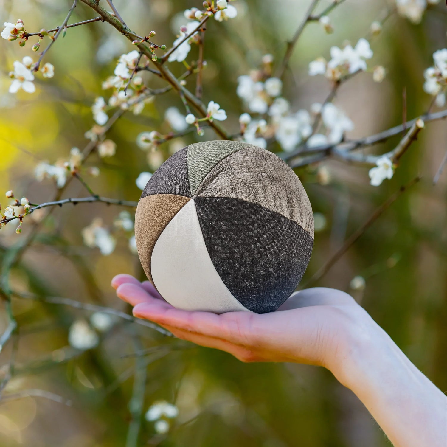 Giornata Mondiale della Terra 2025