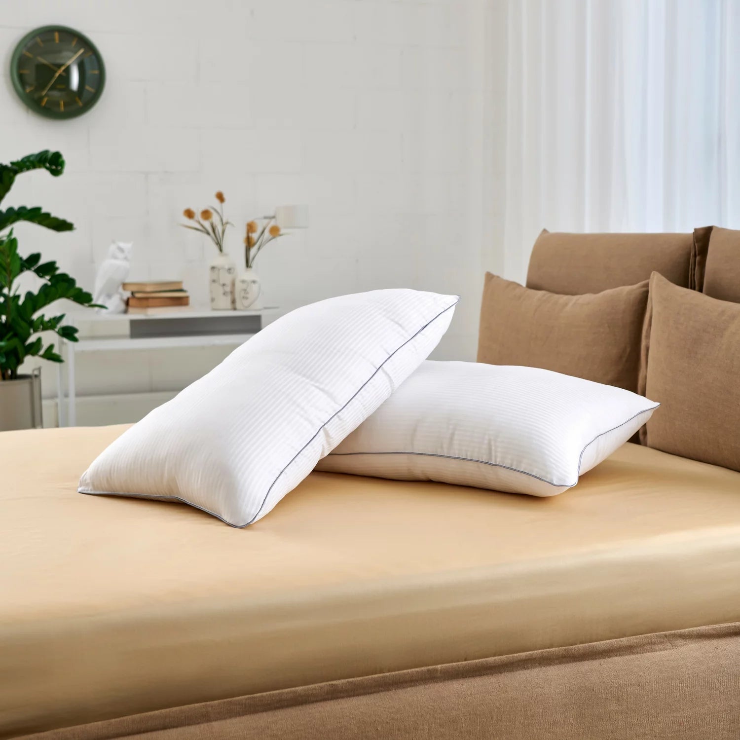 GUANCIALE DIVO