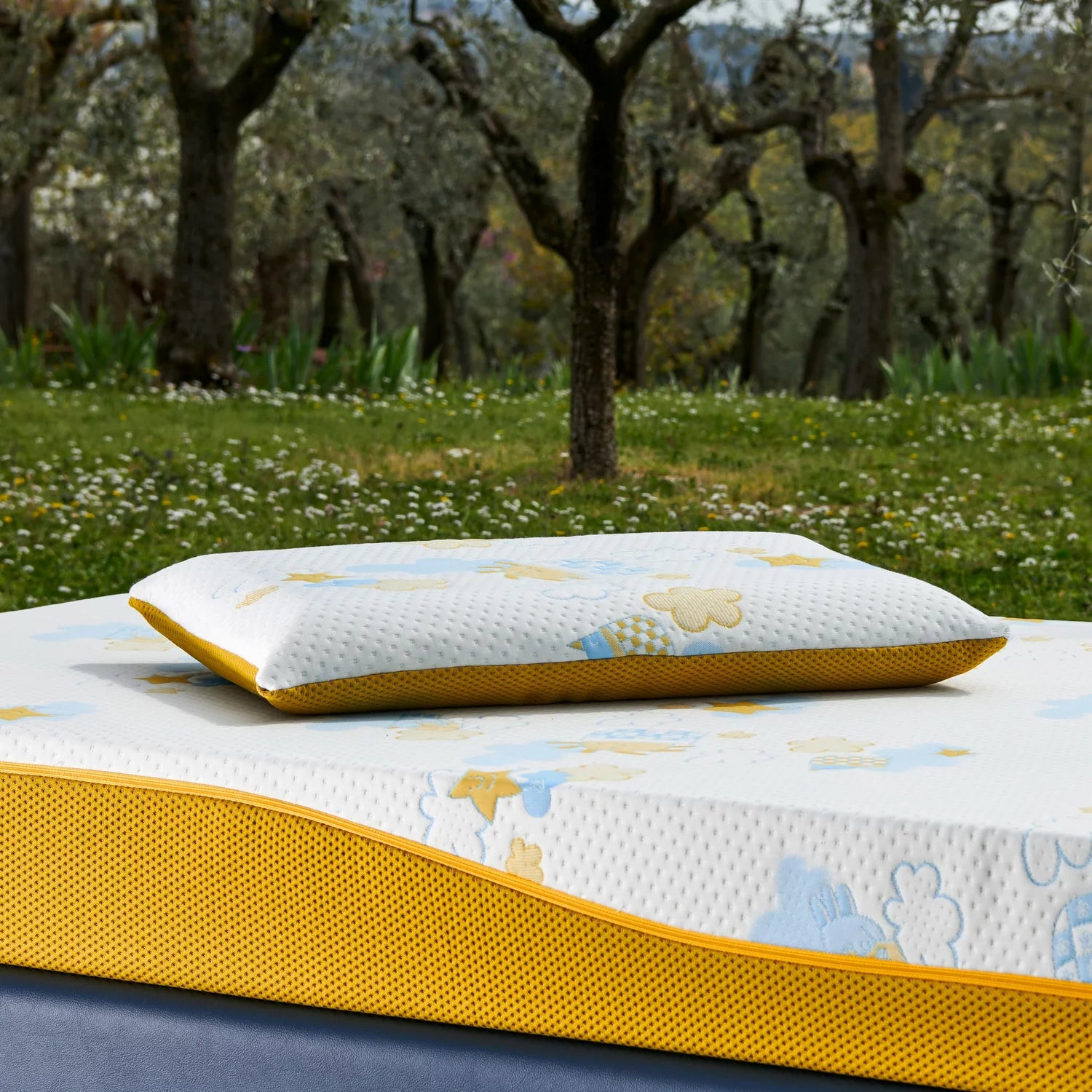 GUANCIALE RE:EVOLUTION