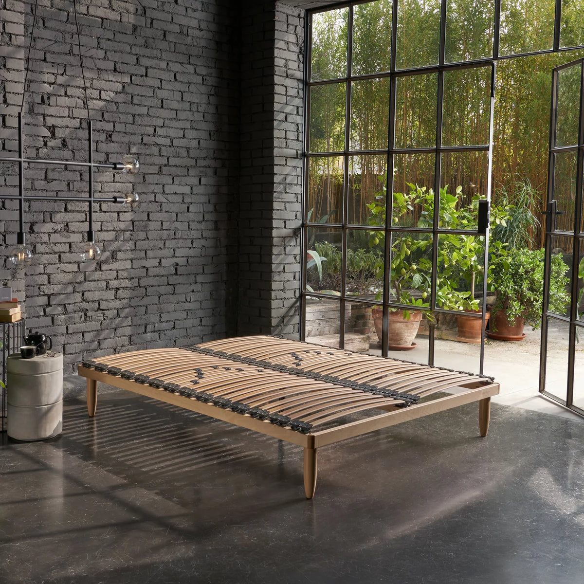 NATURAL 38 FISSA